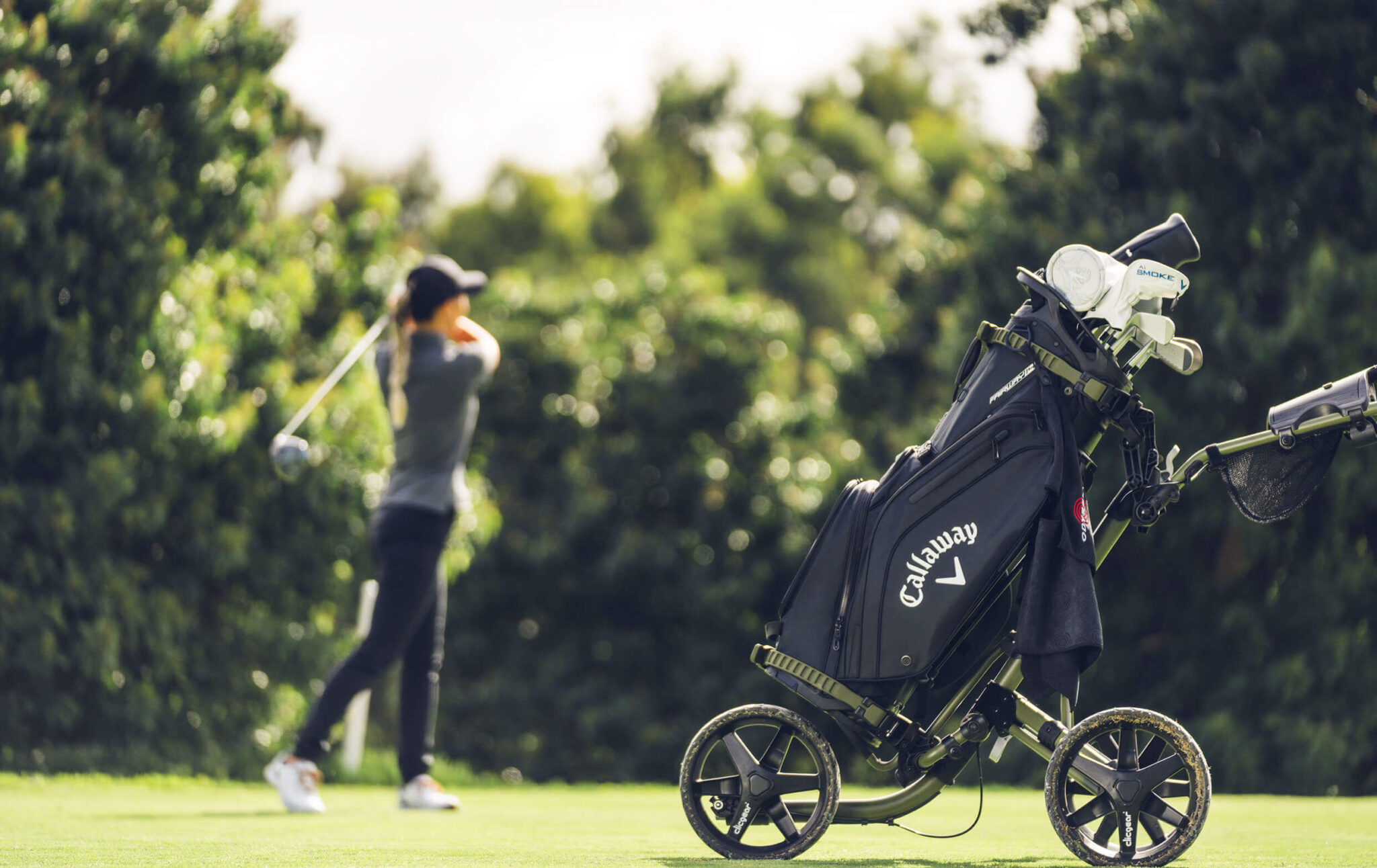 2024-fairway-14-stand Bag