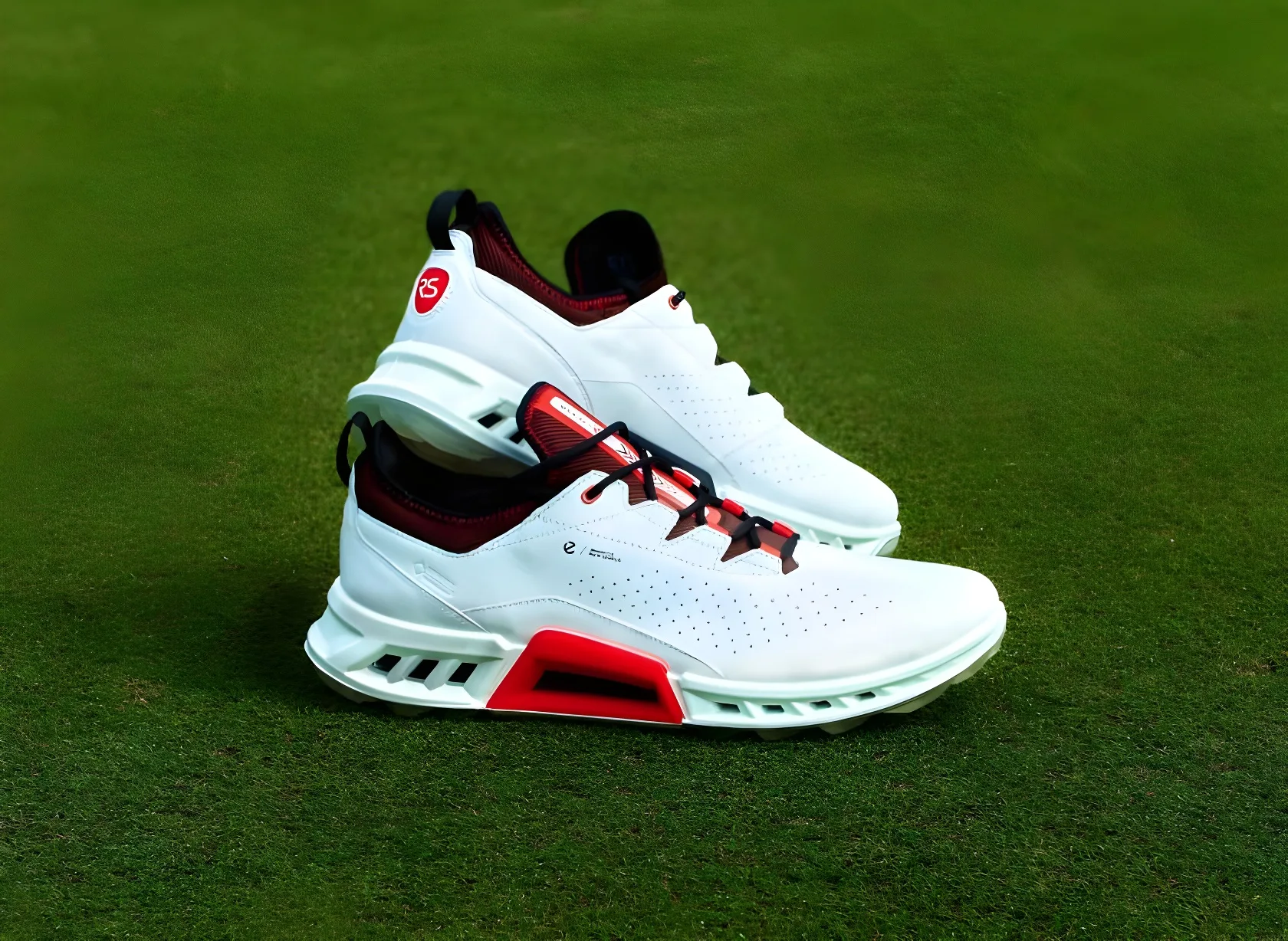 Rick Shiels ECCO Golf Shoe