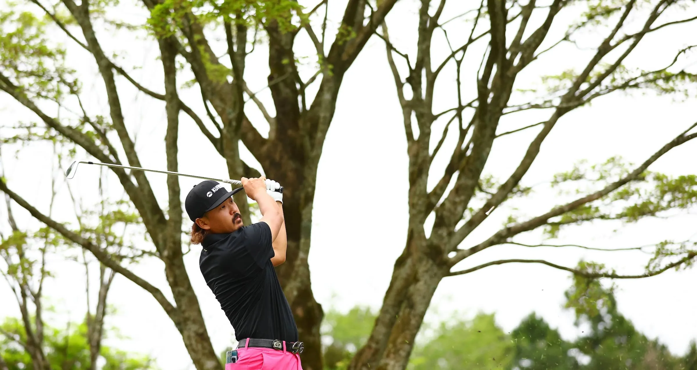 Taihei Sato