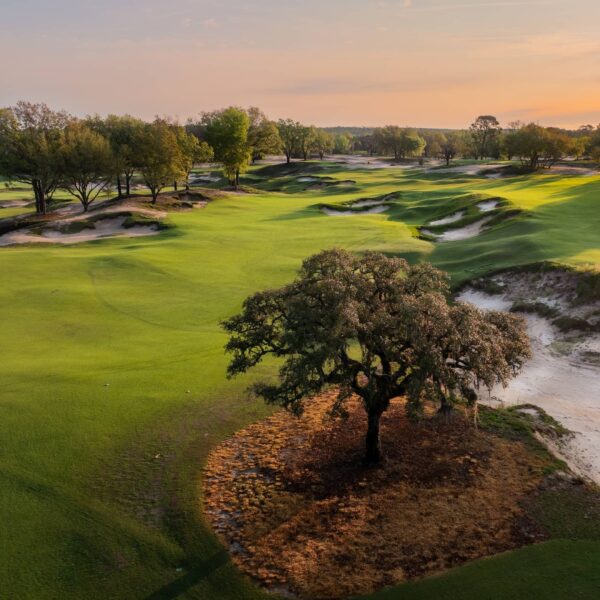 Cabot Citrus Farms - Karoo