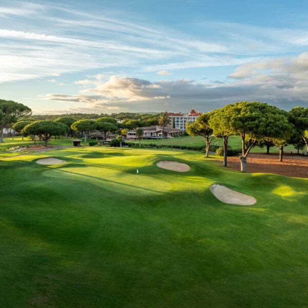 Pinhal_ProAM