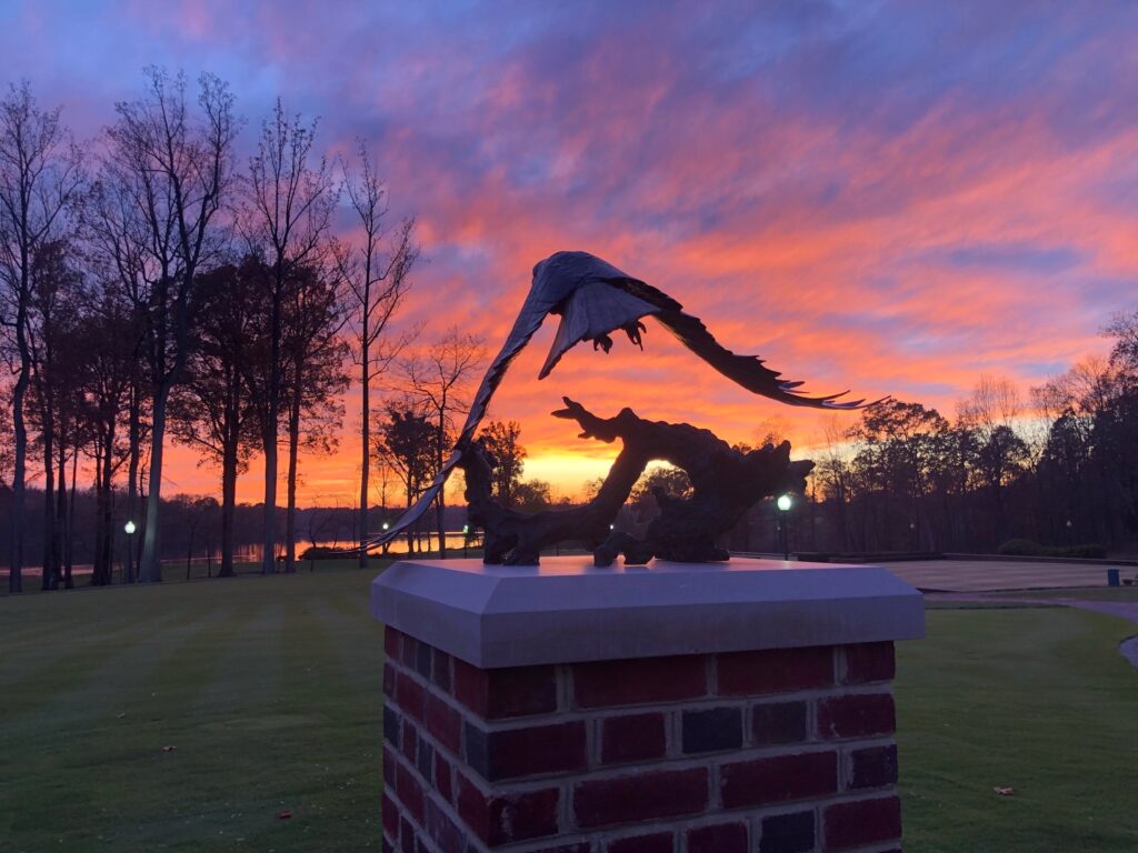 1st RTJ tee eagle by E MacMahon