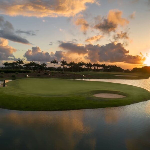 Apes Hill Barbados: Where Championship Golf Meets Caribbean&hellip;