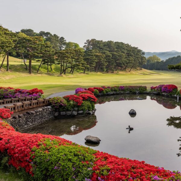 New Korea Country Club pictured ahead of the Aramco Korea Championship, the second of five events on the PIF Global Series in 2025.