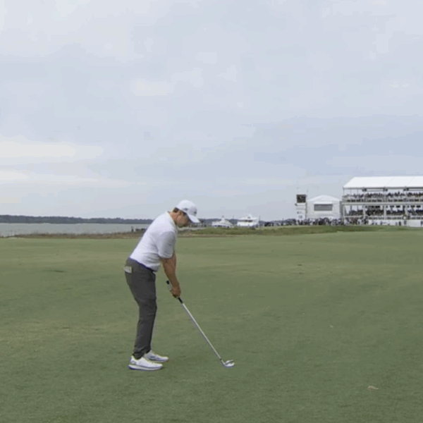 Matt Fitzpatrick 2026 RBC Winner