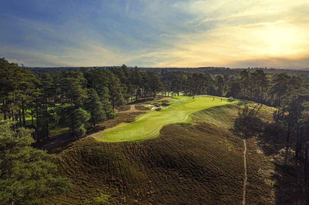 The Berkshire Red 10th