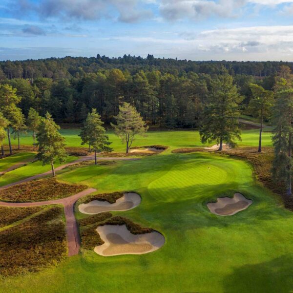 The Berkshire Red 11th