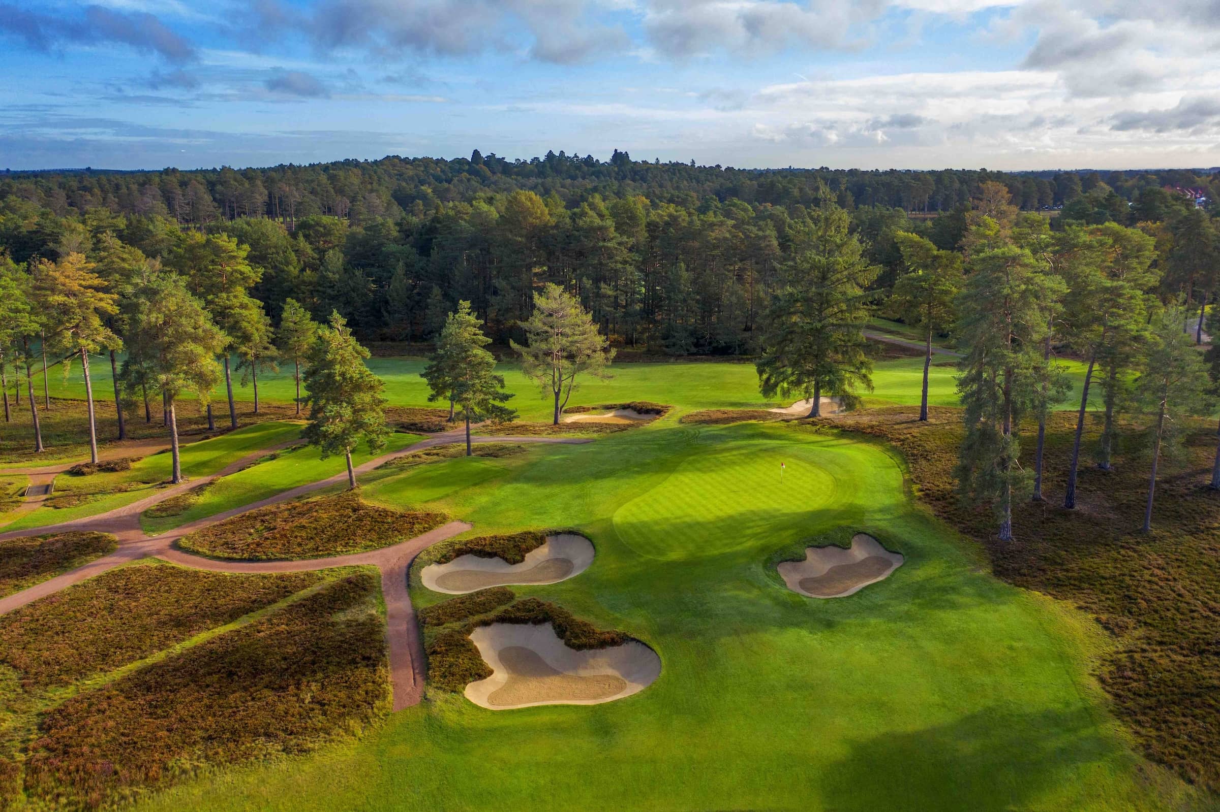 The Berkshire Red 11th