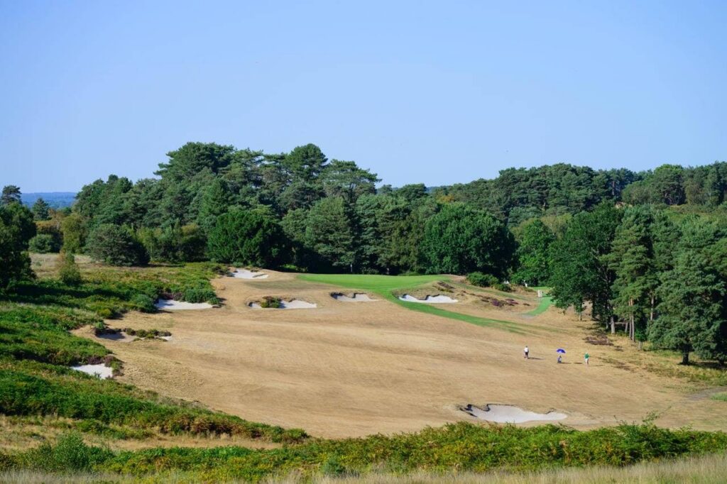 drought looking fairway on golf course