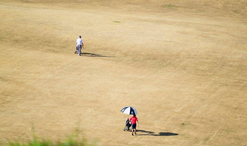 drought scorched fairway
